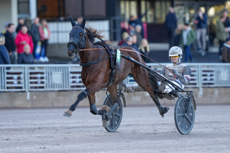 V75-vinnare och en nordisk mix väntar på fredag