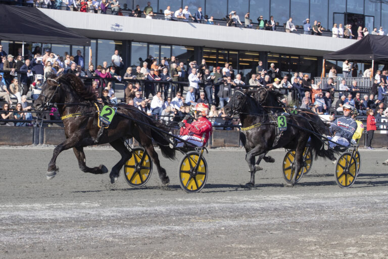 Dubbel derbyvinnare säljes!