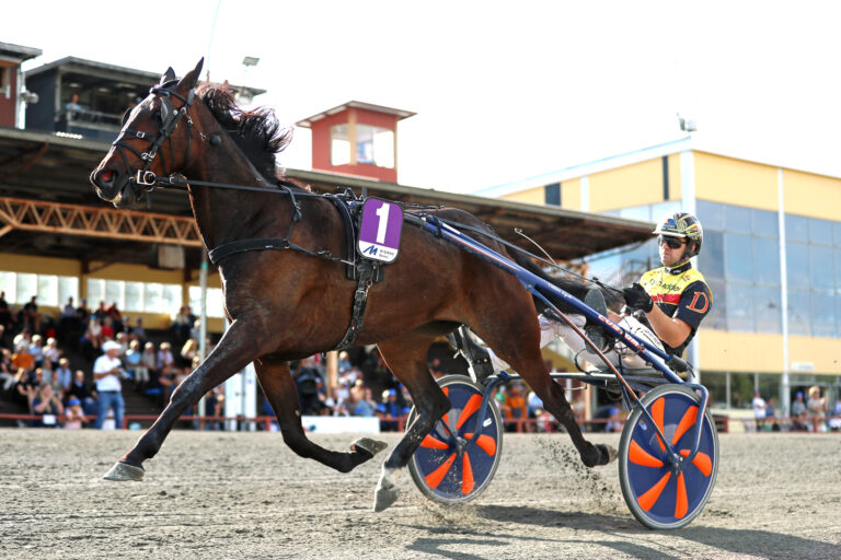 Nouchka di Quattro för halvmiljonen!